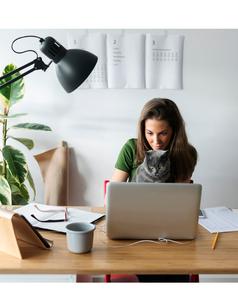 Afbeelding Impact van verlichting